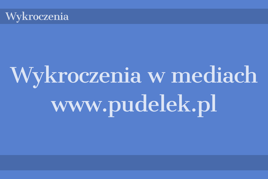 Wykroczenia w mediach www.pudelek.pl